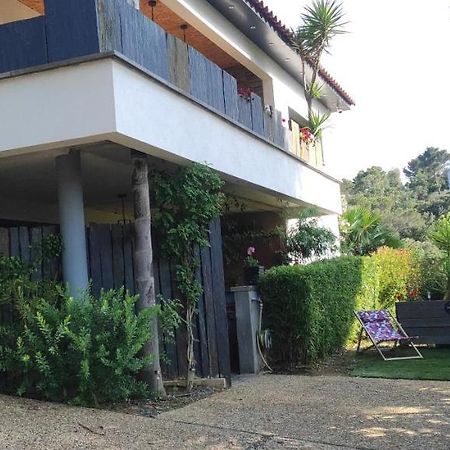 Studio Villa Le M Six-Fours-les-Plages Zewnętrze zdjęcie