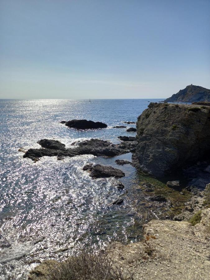 Studio Villa Le M Six-Fours-les-Plages Zewnętrze zdjęcie